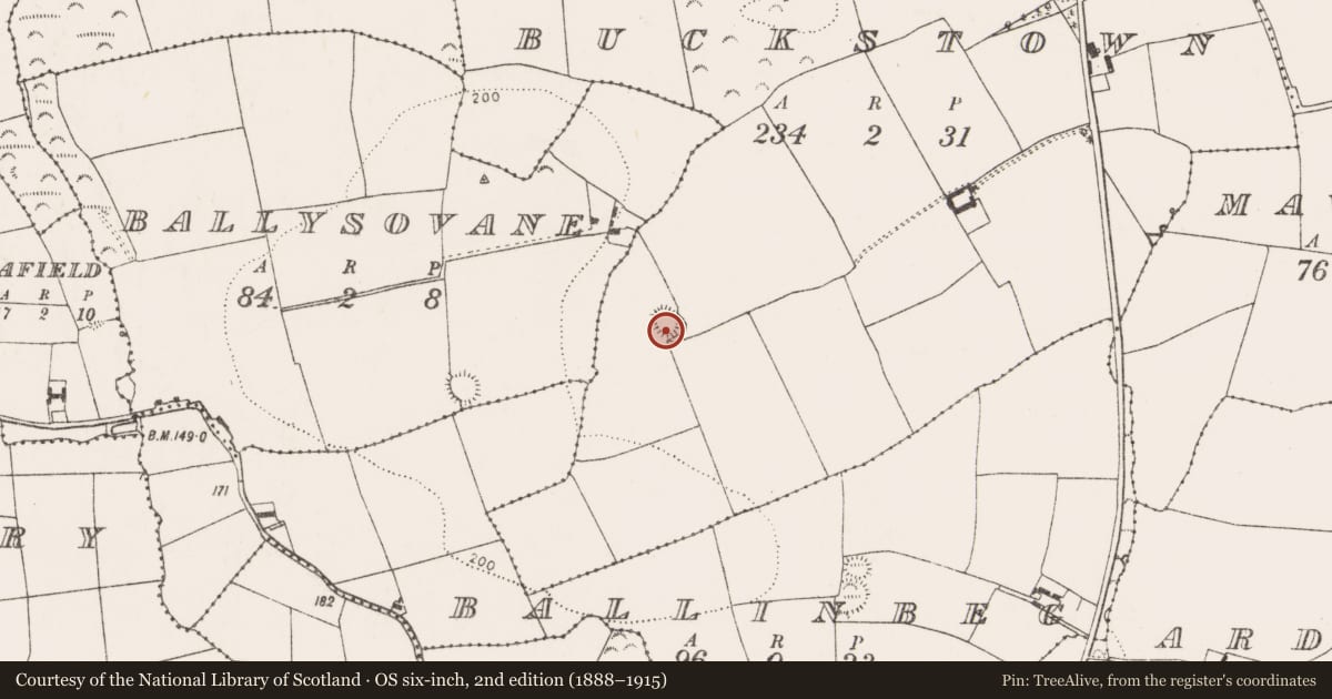 Ordnance Survey six-inch map, 2nd edition (1888–1915) covering the location of Ringfort - rath, Buckstown, County Cork, with a pin at the register's coordinates