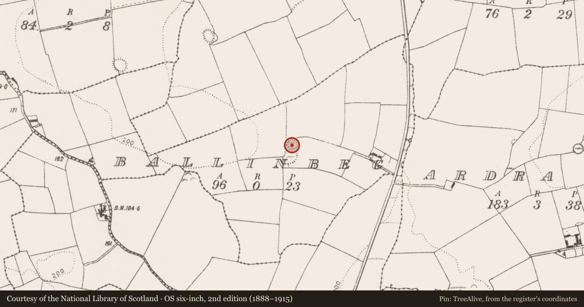 Ordnance Survey six-inch map, 2nd edition (1888–1915) covering the location of Ringfort - rath, Ballinbeg, County Cork, with a pin at the register's coordinates