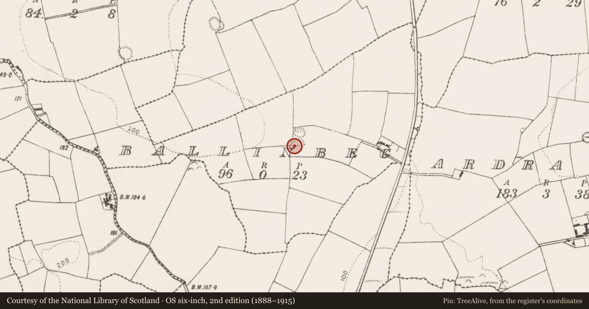 Ordnance Survey six-inch map, 2nd edition (1888–1915) covering the location of Ringfort - rath, Ballinbeg, County Cork, with a pin at the register's coordinates
