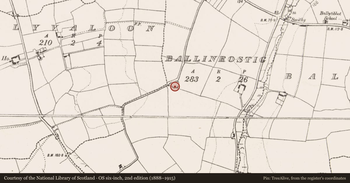 Ordnance Survey six-inch map, 2nd edition (1888–1915) covering the location of Ringfort - rath, Ballinrostig, County Cork, with a pin at the register's coordinates