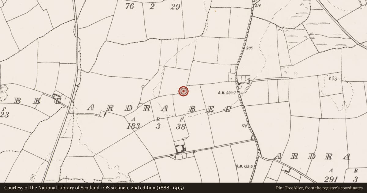 Ordnance Survey six-inch map, 2nd edition (1888–1915) covering the location of Ringfort - rath, Ardra Beg, County Cork, with a pin at the register's coordinates