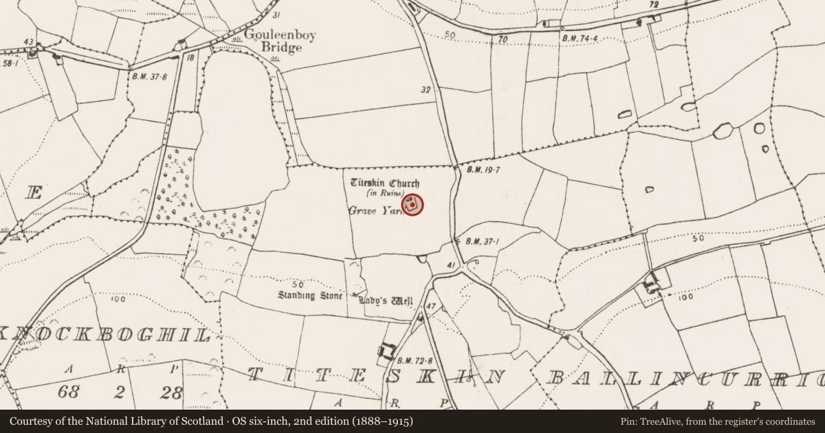 Ordnance Survey six-inch map, 2nd edition (1888–1915) covering the location of Graveyard, Titeskin, County Cork, with a pin at the register's coordinates