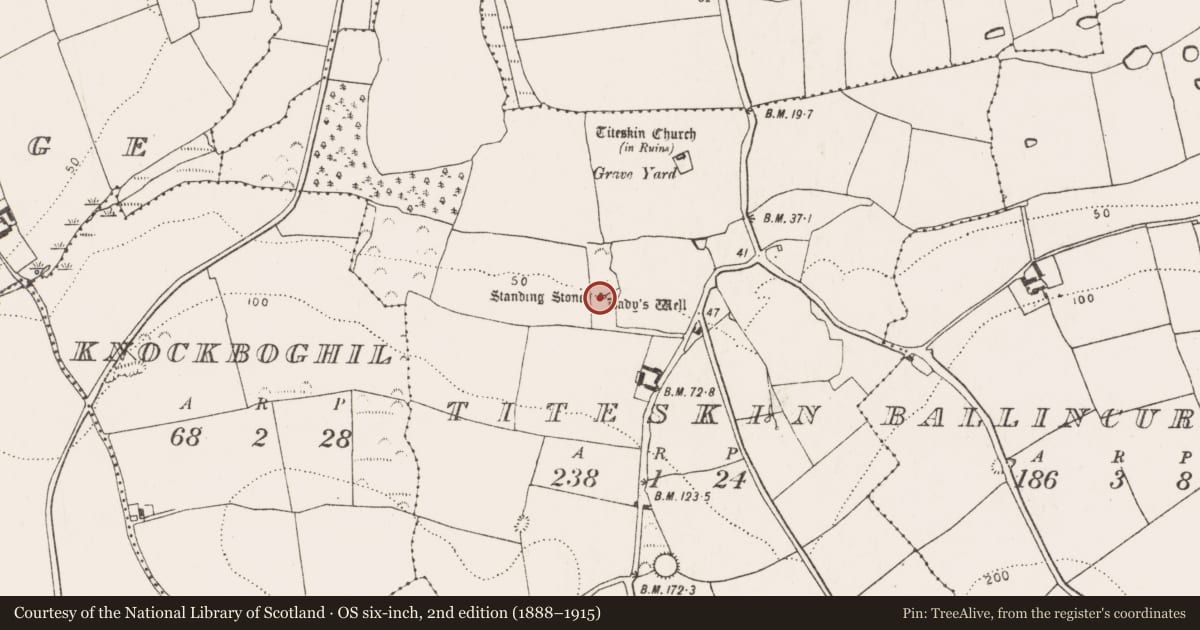 Ordnance Survey six-inch map, 2nd edition (1888–1915) covering the location of Stone sculpture, Titeskin, County Cork, with a pin at the register's coordinates