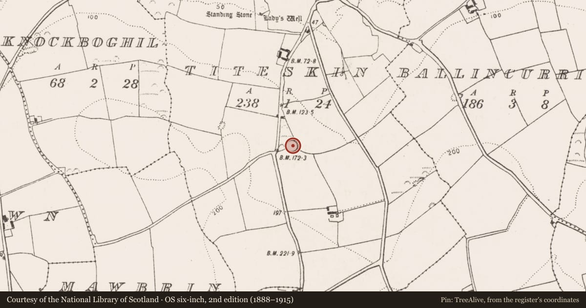 Ordnance Survey six-inch map, 2nd edition (1888–1915) covering the location of Ringfort - rath, Titeskin, County Cork, with a pin at the register's coordinates