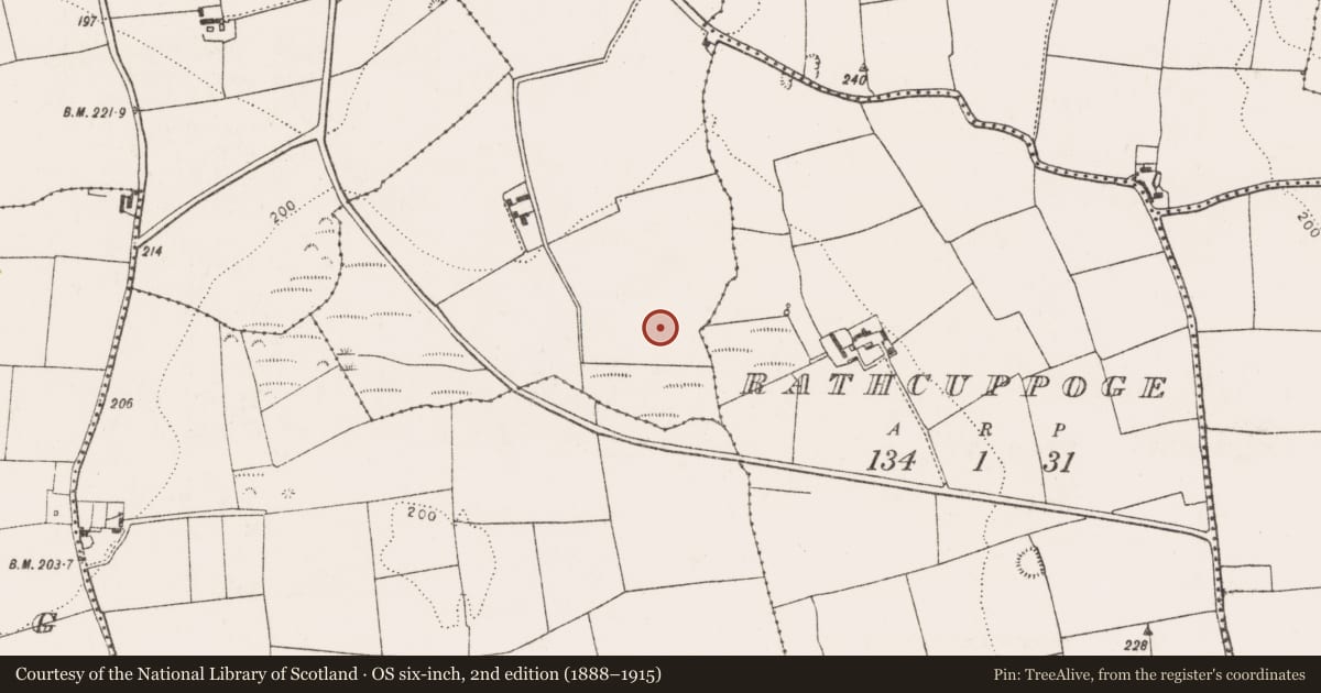 Ordnance Survey six-inch map, 2nd edition (1888–1915) covering the location of Fulacht fia, Ballincurrig, County Cork, with a pin at the register's coordinates