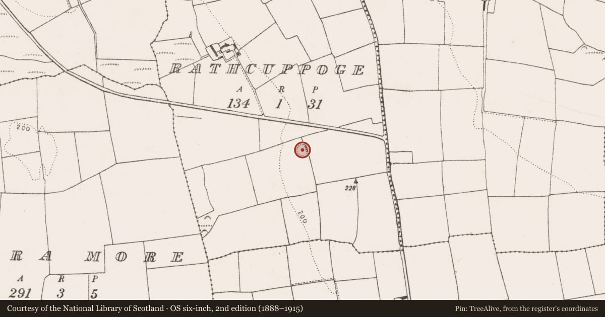Ordnance Survey six-inch map, 2nd edition (1888–1915) covering the location of Enclosure, Rathcuppoge, County Cork, with a pin at the register's coordinates