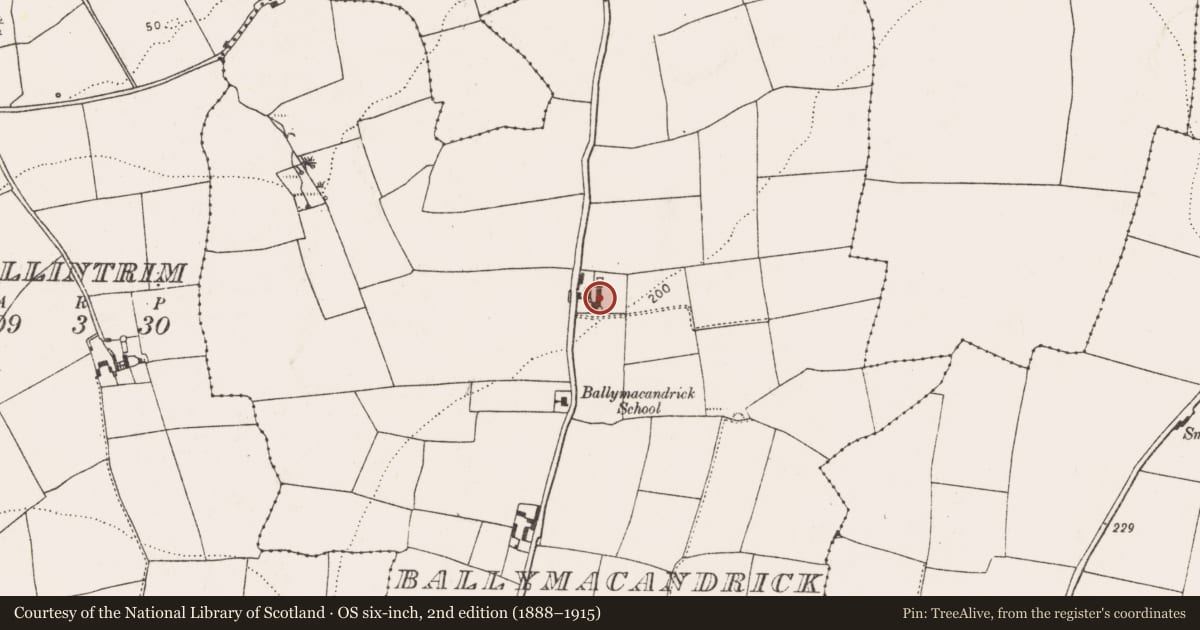 Ordnance Survey six-inch map, 2nd edition (1888–1915) covering the location of House - vernacular house, Ballymacandrick (Imokilly By., Inch Par.), County Cork, with a pin at the register's coordinates