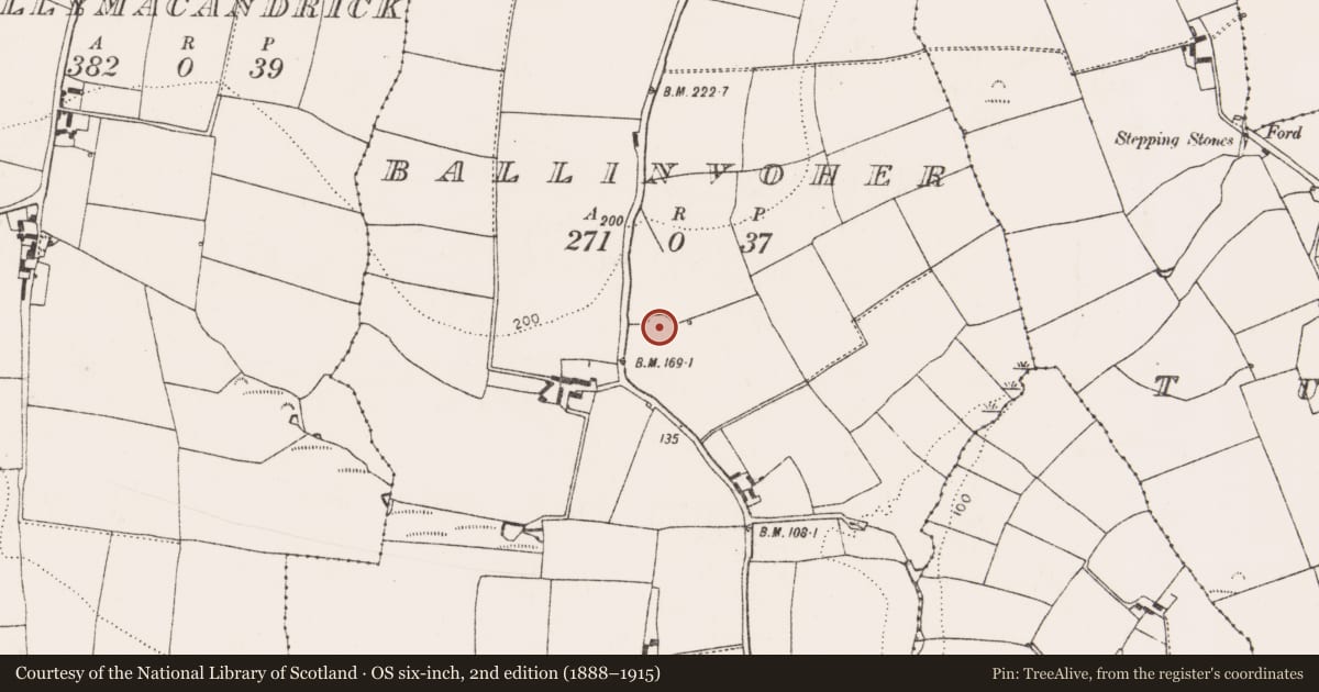 Ordnance Survey six-inch map, 2nd edition (1888–1915) covering the location of Ringfort - rath, Ballinvoher (Imokilly By., Cloyne Par.), County Cork, with a pin at the register's coordinates
