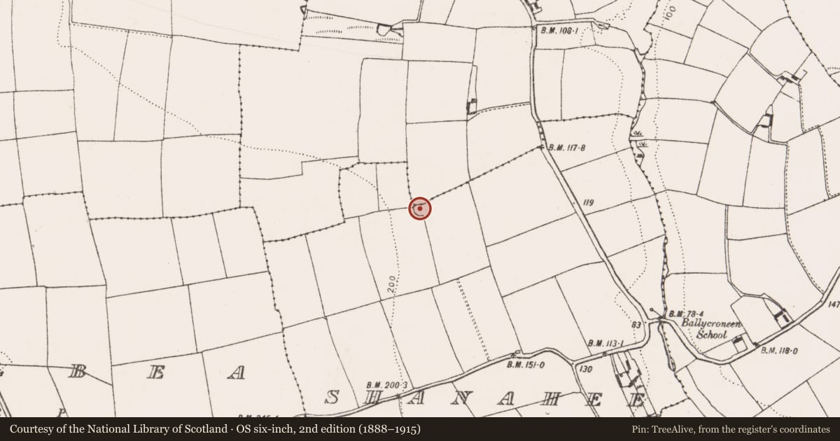 Ordnance Survey six-inch map, 2nd edition (1888–1915) covering the location of Ringfort - rath, Shanahee, County Cork, with a pin at the register's coordinates
