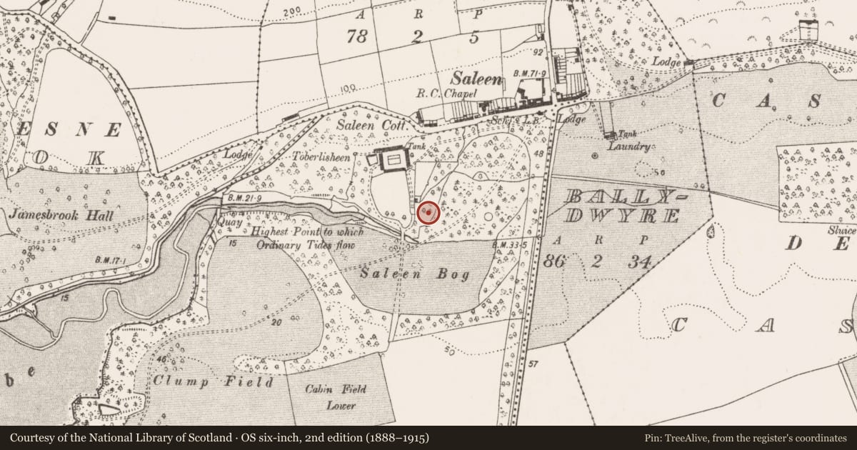 Ordnance Survey six-inch map, 2nd edition (1888–1915) covering the location of Mill - corn, Rostellan, County Cork, with a pin at the register's coordinates