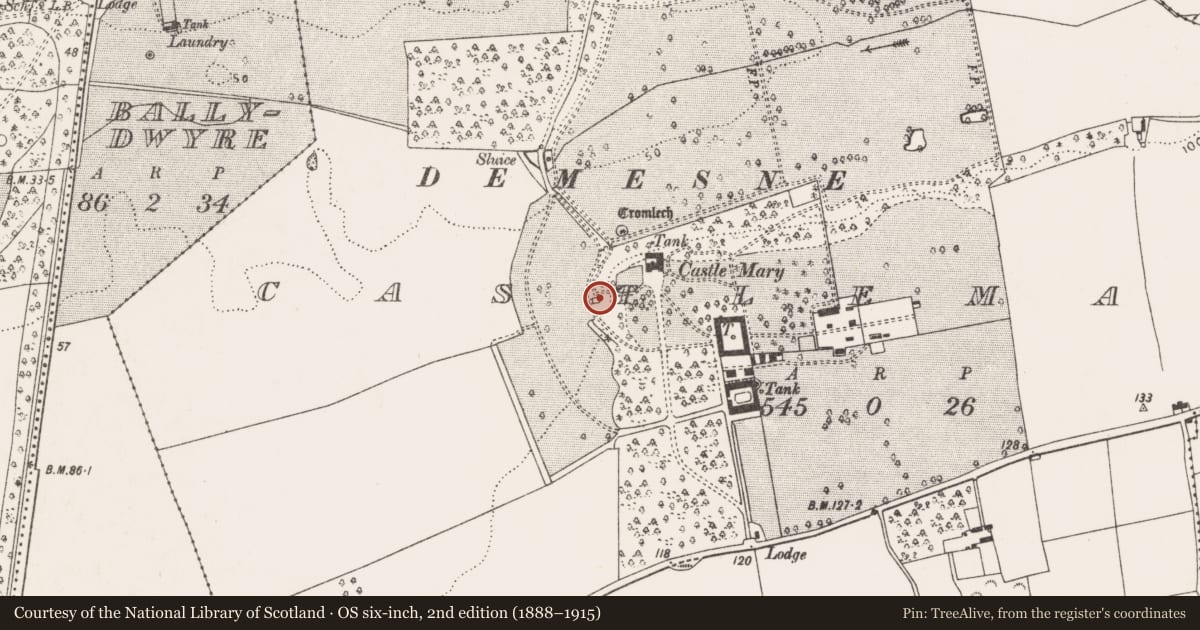 Ordnance Survey six-inch map, 2nd edition (1888–1915) covering the location of Kiln - lime, Castlemary, County Cork, with a pin at the register's coordinates