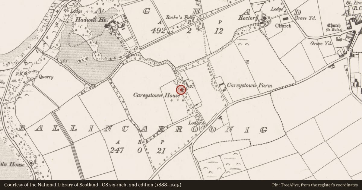 Ordnance Survey six-inch map, 2nd edition (1888–1915) covering the location of Castle - unclassified, Ballincarroonig, County Cork, with a pin at the register's coordinates