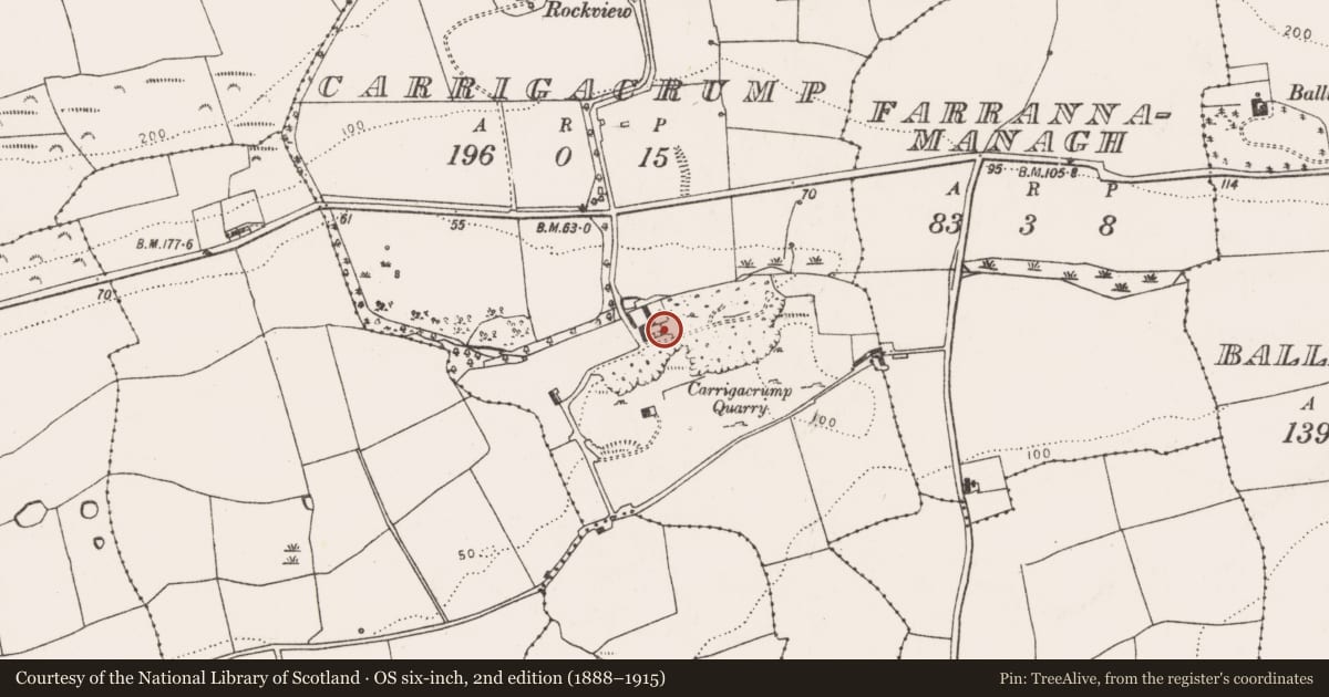 Ordnance Survey six-inch map, 2nd edition (1888–1915) covering the location of Kiln - lime, Carrigacrump, County Cork, with a pin at the register's coordinates