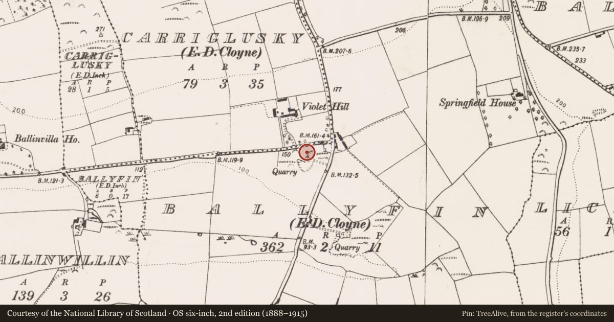 Ordnance Survey six-inch map, 2nd edition (1888–1915) covering the location of Kiln - lime, Ballyfin (Imokilly By., Cloyne Par.), County Cork, with a pin at the register's coordinates