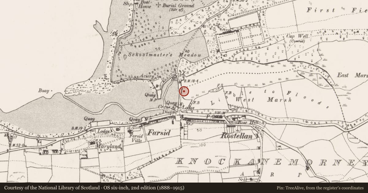 Ordnance Survey six-inch map, 2nd edition (1888–1915) covering the location of Milestone, Rostellan, County Cork, with a pin at the register's coordinates