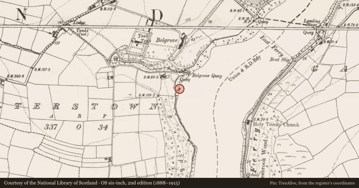 Ordnance Survey six-inch map, 2nd edition (1888–1915) covering the location of Mass-rock, Walterstown, County Cork, with a pin at the register's coordinates
