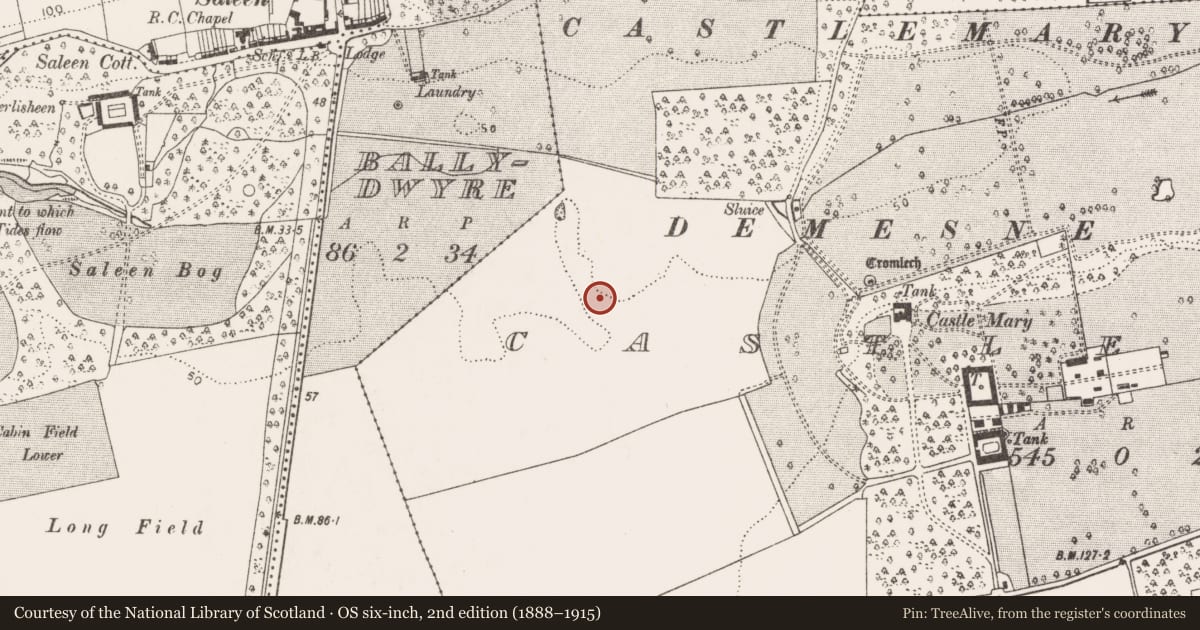 Ordnance Survey six-inch map, 2nd edition (1888–1915) covering the location of Fulacht fia, Castlemary, County Cork, with a pin at the register's coordinates
