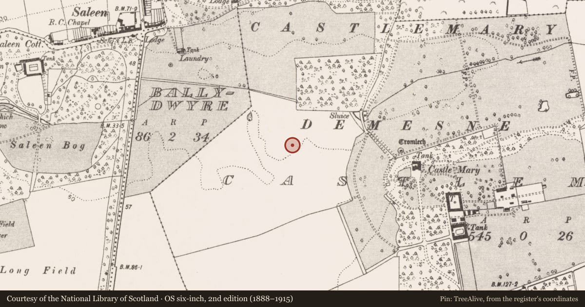 Ordnance Survey six-inch map, 2nd edition (1888–1915) covering the location of Fulacht fia, Castlemary, County Cork, with a pin at the register's coordinates