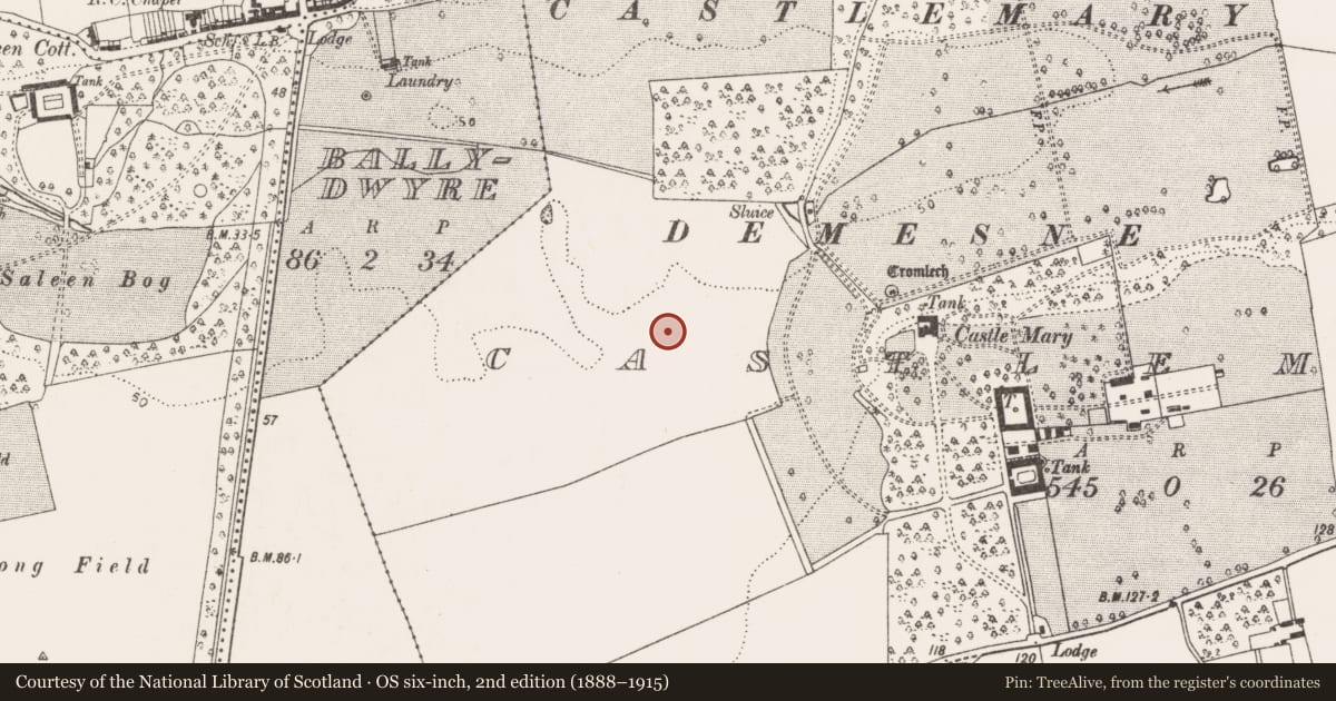 Ordnance Survey six-inch map, 2nd edition (1888–1915) covering the location of Fulacht fia, Castlemary, County Cork, with a pin at the register's coordinates
