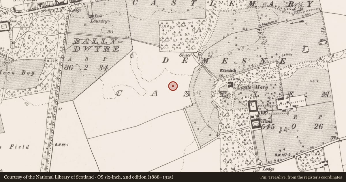 Ordnance Survey six-inch map, 2nd edition (1888–1915) covering the location of Fulacht fia, Castlemary, County Cork, with a pin at the register's coordinates
