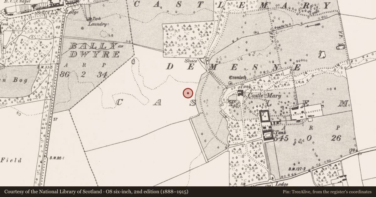 Ordnance Survey six-inch map, 2nd edition (1888–1915) covering the location of Fulacht fia, Castlemary, County Cork, with a pin at the register's coordinates