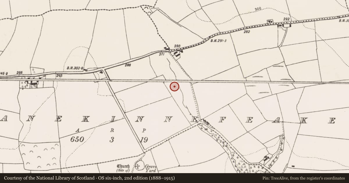 Ordnance Survey six-inch map, 2nd edition (1888–1915) covering the location of Fulacht fia, Garranekinnefeake, County Cork, with a pin at the register's coordinates