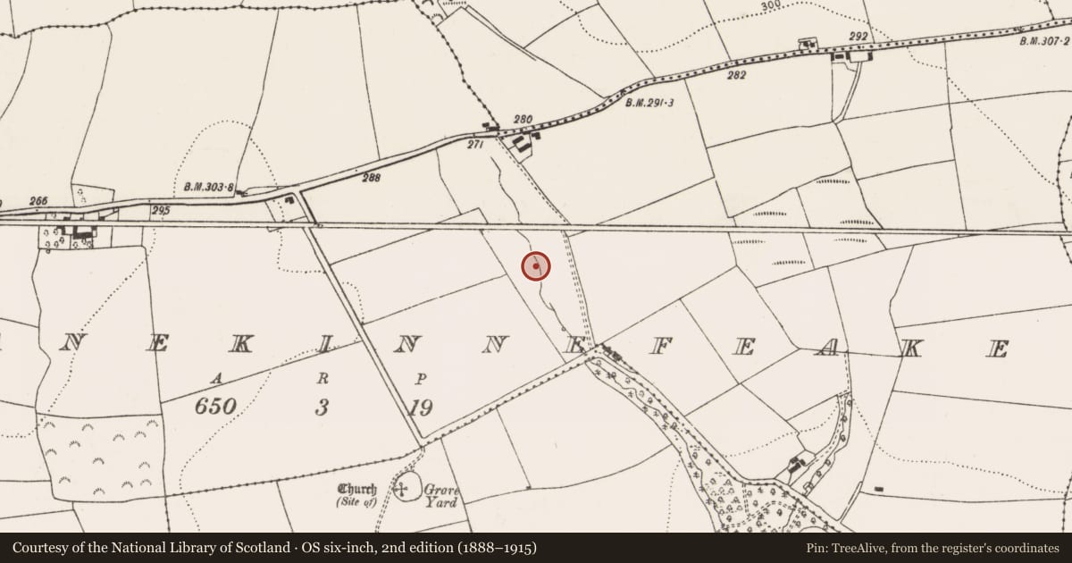Ordnance Survey six-inch map, 2nd edition (1888–1915) covering the location of Fulacht fia, Garranekinnefeake, County Cork, with a pin at the register's coordinates