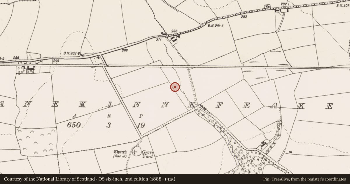 Ordnance Survey six-inch map, 2nd edition (1888–1915) covering the location of Fulacht fia, Garranekinnefeake, County Cork, with a pin at the register's coordinates
