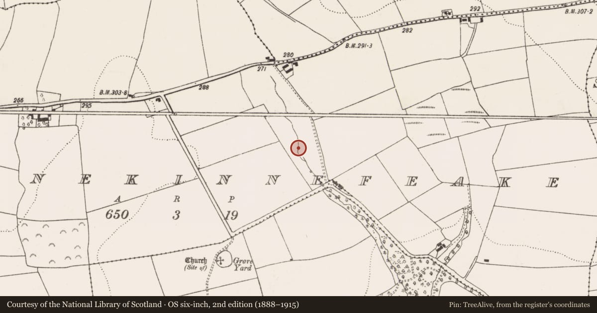Ordnance Survey six-inch map, 2nd edition (1888–1915) covering the location of Fulacht fia, Garranekinnefeake, County Cork, with a pin at the register's coordinates