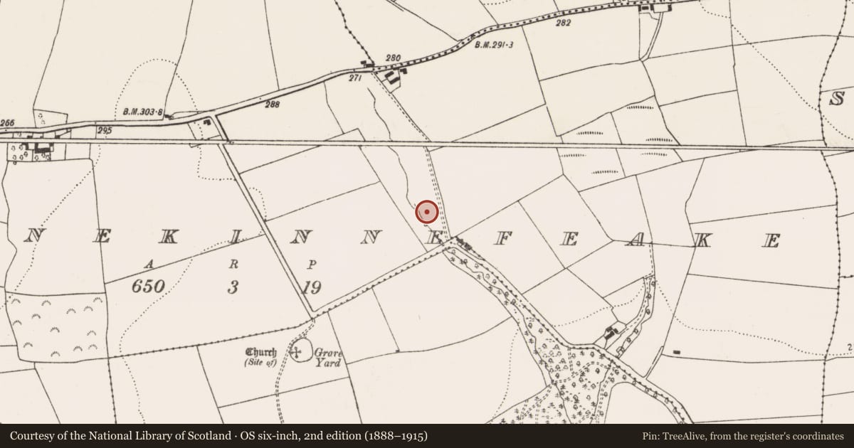 Ordnance Survey six-inch map, 2nd edition (1888–1915) covering the location of Fulacht fia, Garranekinnefeake, County Cork, with a pin at the register's coordinates