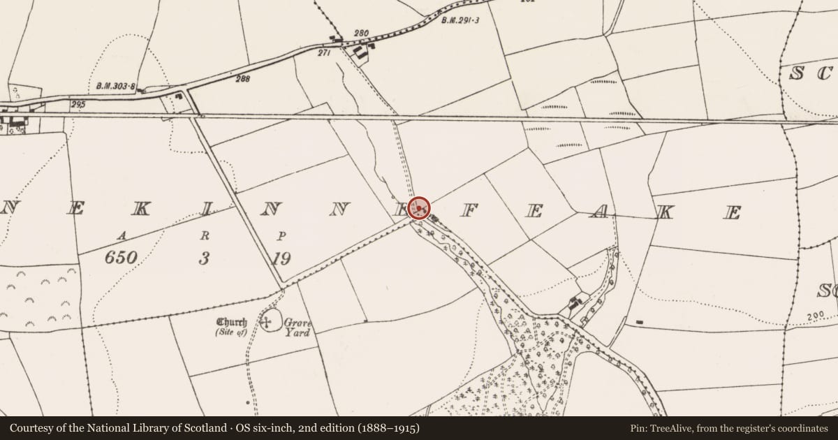 Ordnance Survey six-inch map, 2nd edition (1888–1915) covering the location of Fulacht fia, Garranekinnefeake, County Cork, with a pin at the register's coordinates