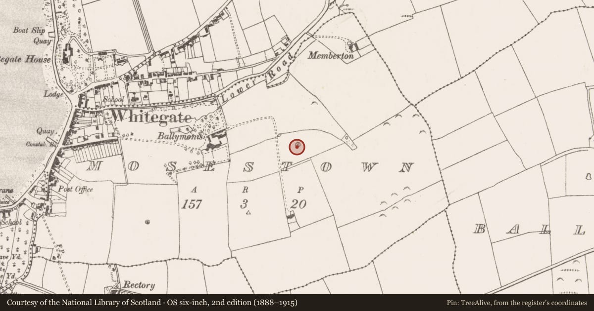 Ordnance Survey six-inch map, 2nd edition (1888–1915) covering the location of Designed landscape - tree-ring, Mosestown, County Cork, with a pin at the register's coordinates