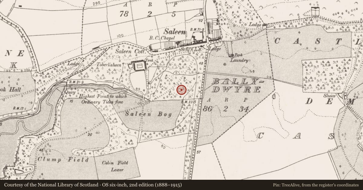 Ordnance Survey six-inch map, 2nd edition (1888–1915) covering the location of Enclosure, Rostellan, County Cork, with a pin at the register's coordinates