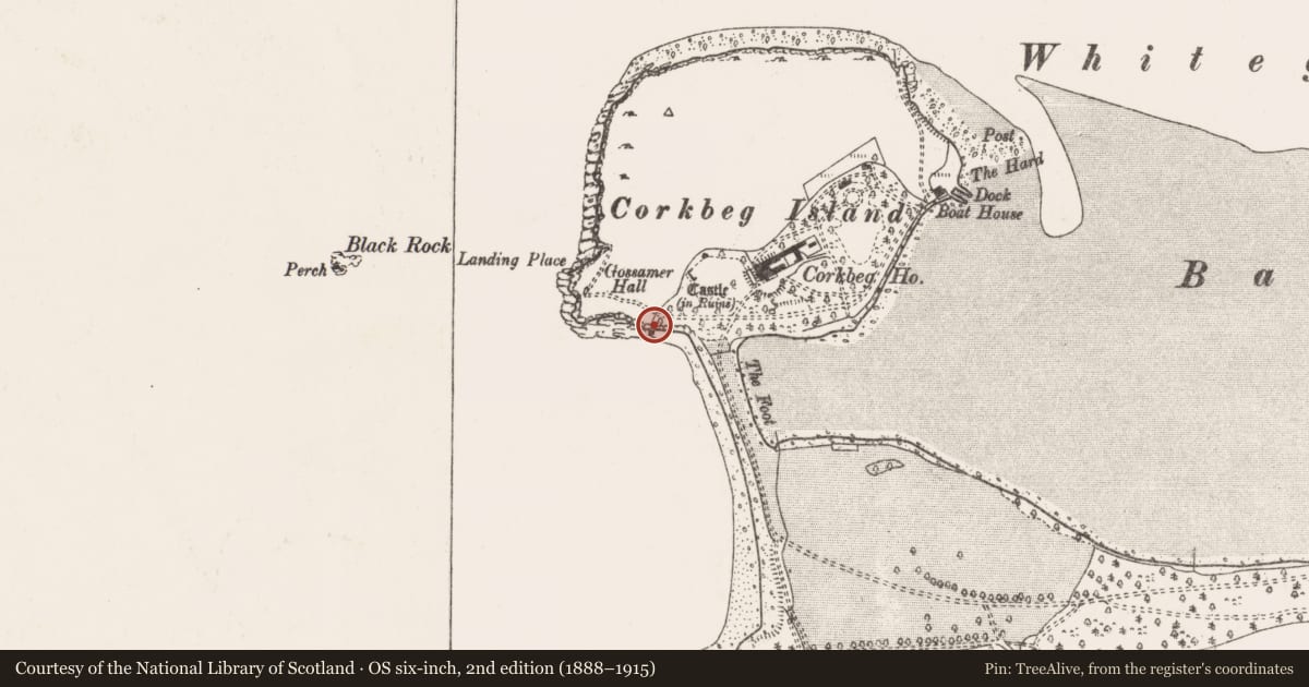 Ordnance Survey six-inch map, 2nd edition (1888–1915) covering the location of Midden, Corkbeg, County Cork, with a pin at the register's coordinates