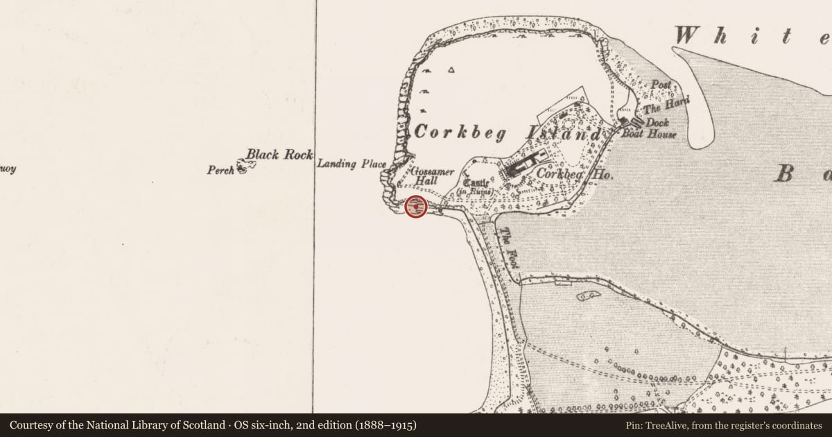 Ordnance Survey six-inch map, 2nd edition (1888–1915) covering the location of Midden, Corkbeg, County Cork, with a pin at the register's coordinates