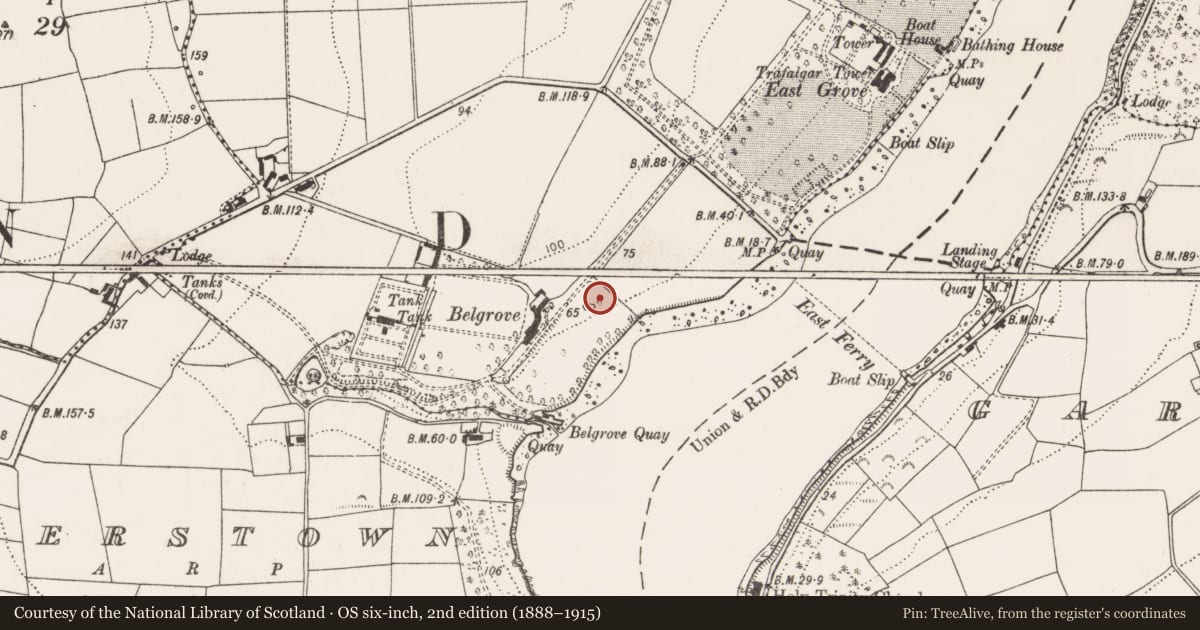 Ordnance Survey six-inch map, 2nd edition (1888–1915) covering the location of Orangery, Belgrove, County Cork, with a pin at the register's coordinates