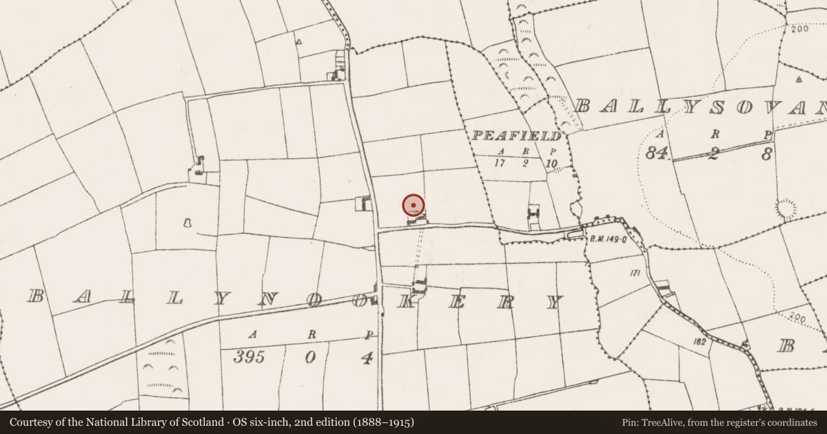 Ordnance Survey six-inch map, 2nd edition (1888–1915) covering the location of Enclosure, Ballynookery, County Cork, with a pin at the register's coordinates