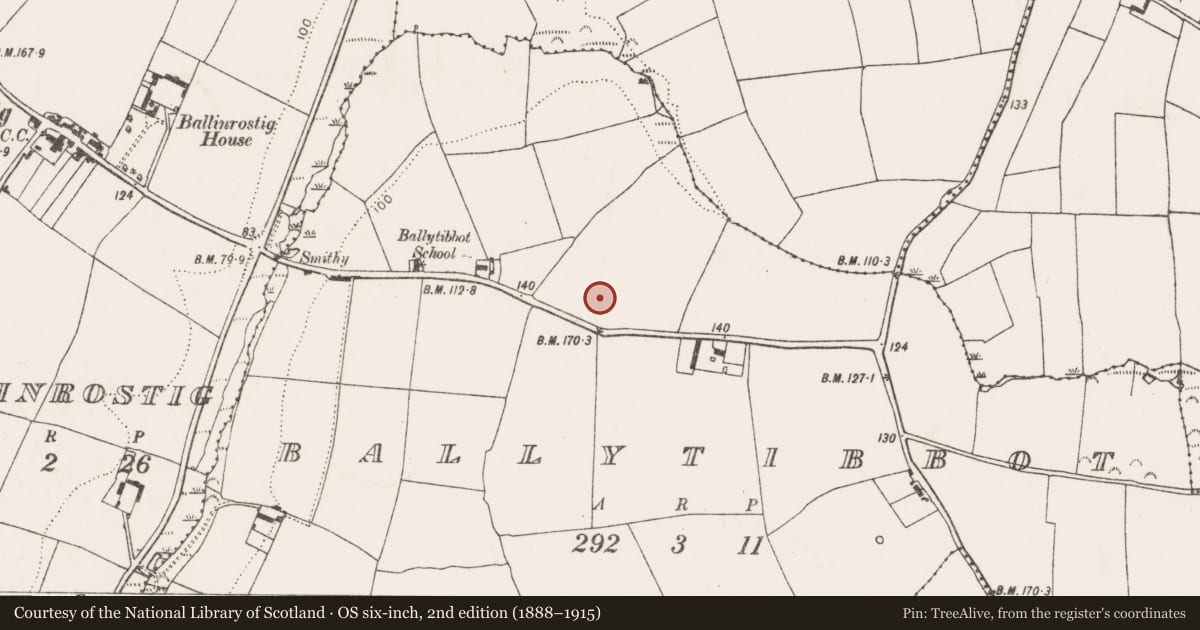 Ordnance Survey six-inch map, 2nd edition (1888–1915) covering the location of Standing stone, Ballytibbot, County Cork, with a pin at the register's coordinates