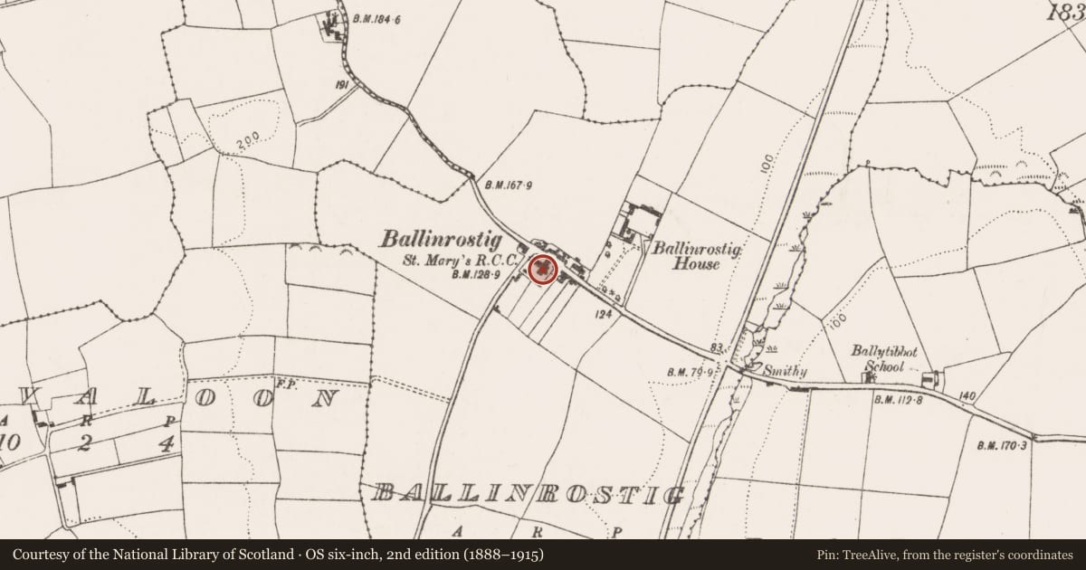 Ordnance Survey six-inch map, 2nd edition (1888–1915) covering the location of Church, Ballinrostig, County Cork, with a pin at the register's coordinates