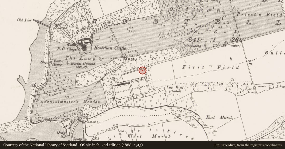 Ordnance Survey six-inch map, 2nd edition (1888–1915) covering the location of Icehouse, Rostellan, County Cork, with a pin at the register's coordinates