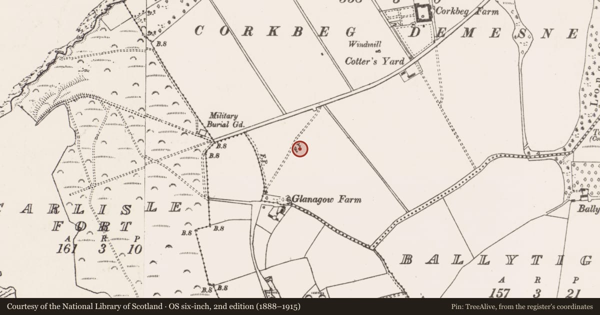Ordnance Survey six-inch map, 2nd edition (1888–1915) covering the location of Fulacht fia, Corkbeg, County Cork, with a pin at the register's coordinates