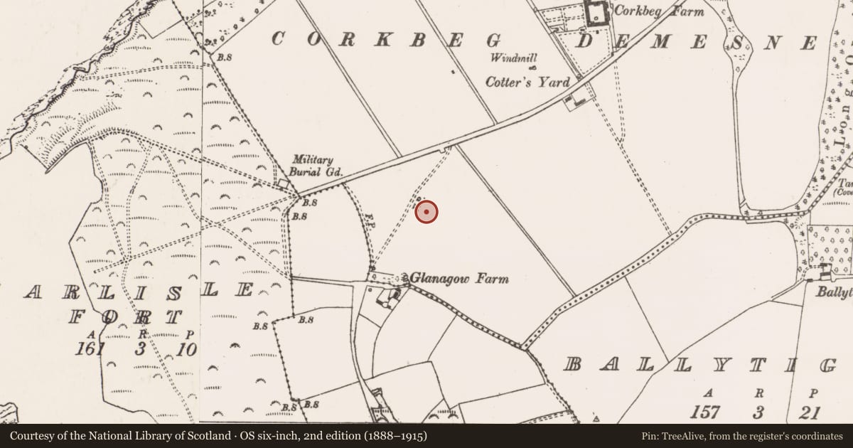 Ordnance Survey six-inch map, 2nd edition (1888–1915) covering the location of Kiln - corn-drying, Corkbeg, County Cork, with a pin at the register's coordinates