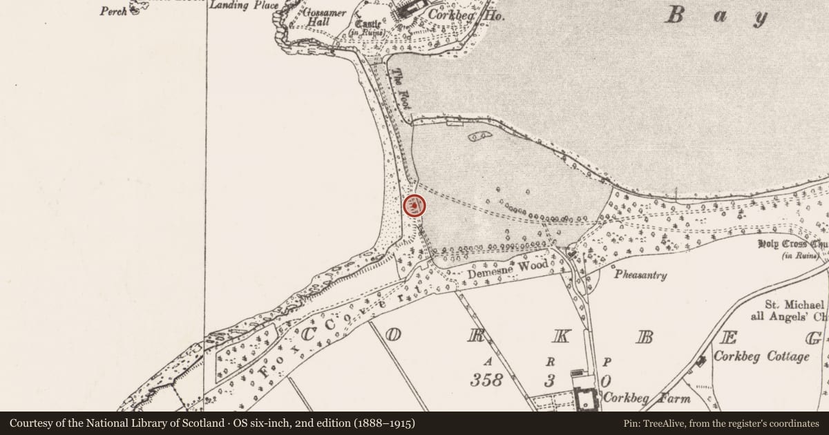 Ordnance Survey six-inch map, 2nd edition (1888–1915) covering the location of Midden, Corkbeg, County Cork, with a pin at the register's coordinates