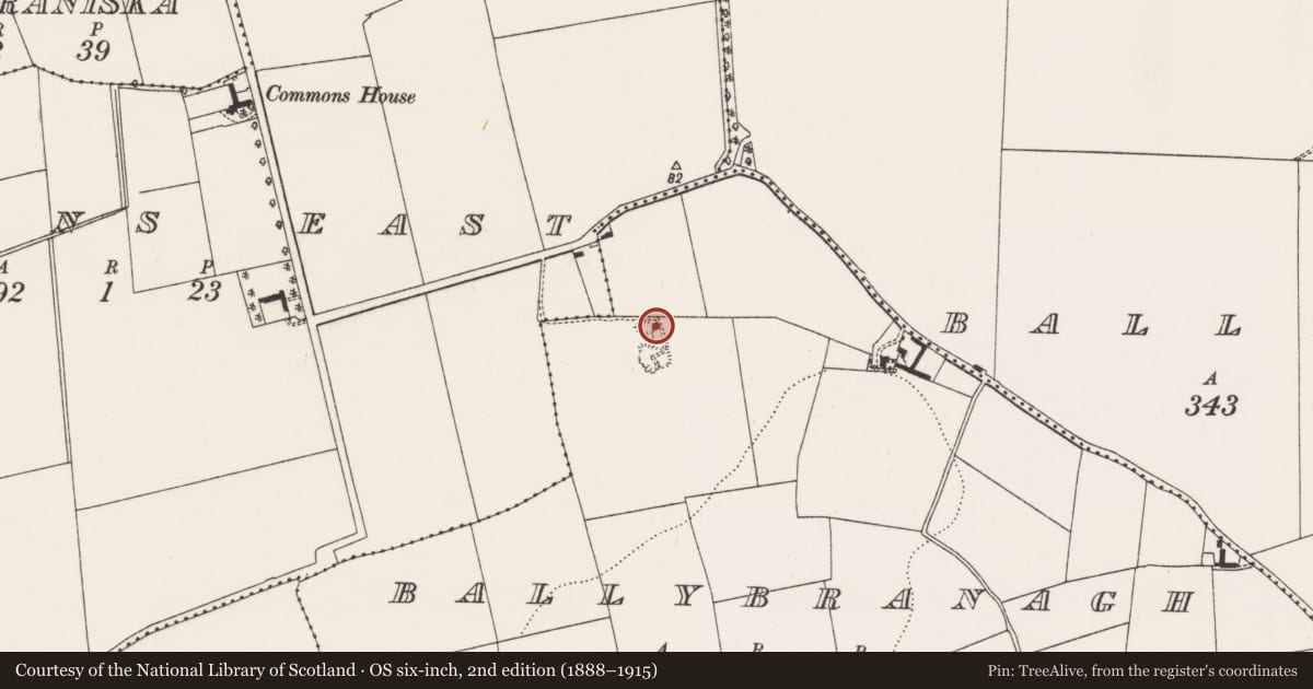 Ordnance Survey six-inch map, 2nd edition (1888–1915) covering the location of Kiln - lime, Ballybranagh, County Cork, with a pin at the register's coordinates