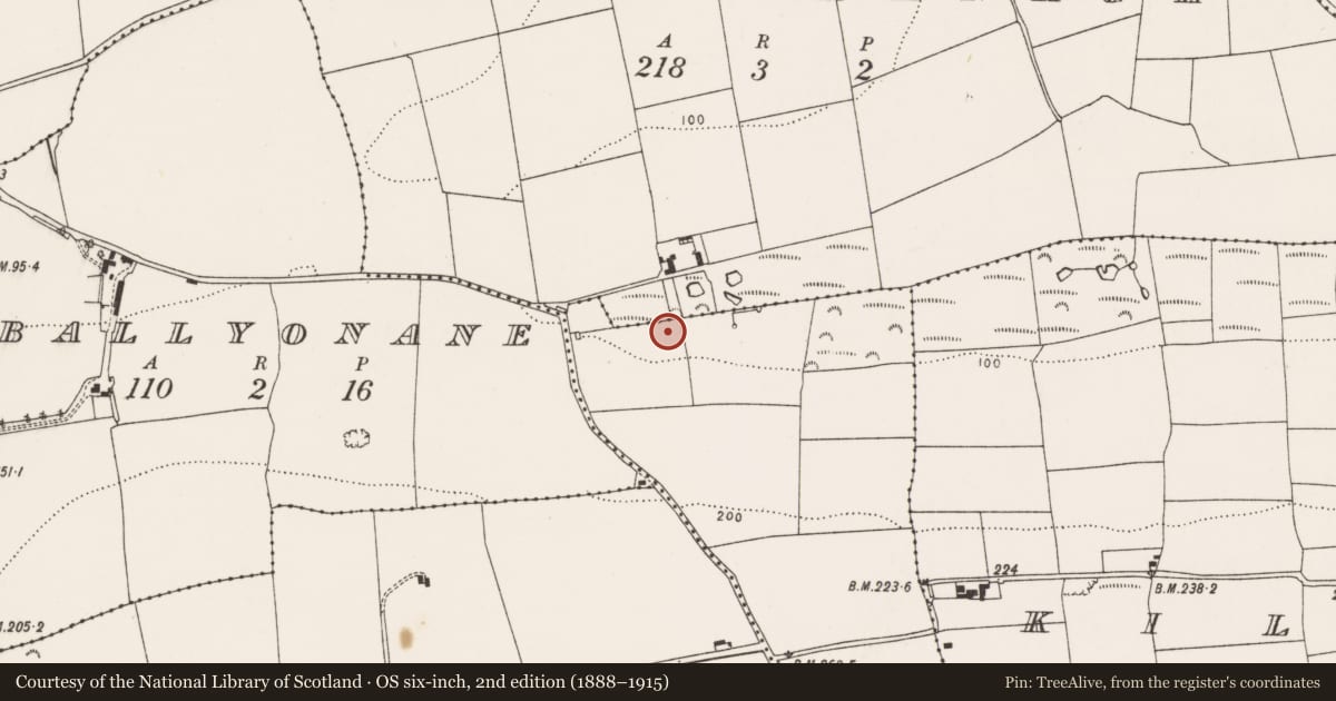 Ordnance Survey six-inch map, 2nd edition (1888–1915) covering the location of Fulacht fia, Kilbarraree, County Cork, with a pin at the register's coordinates