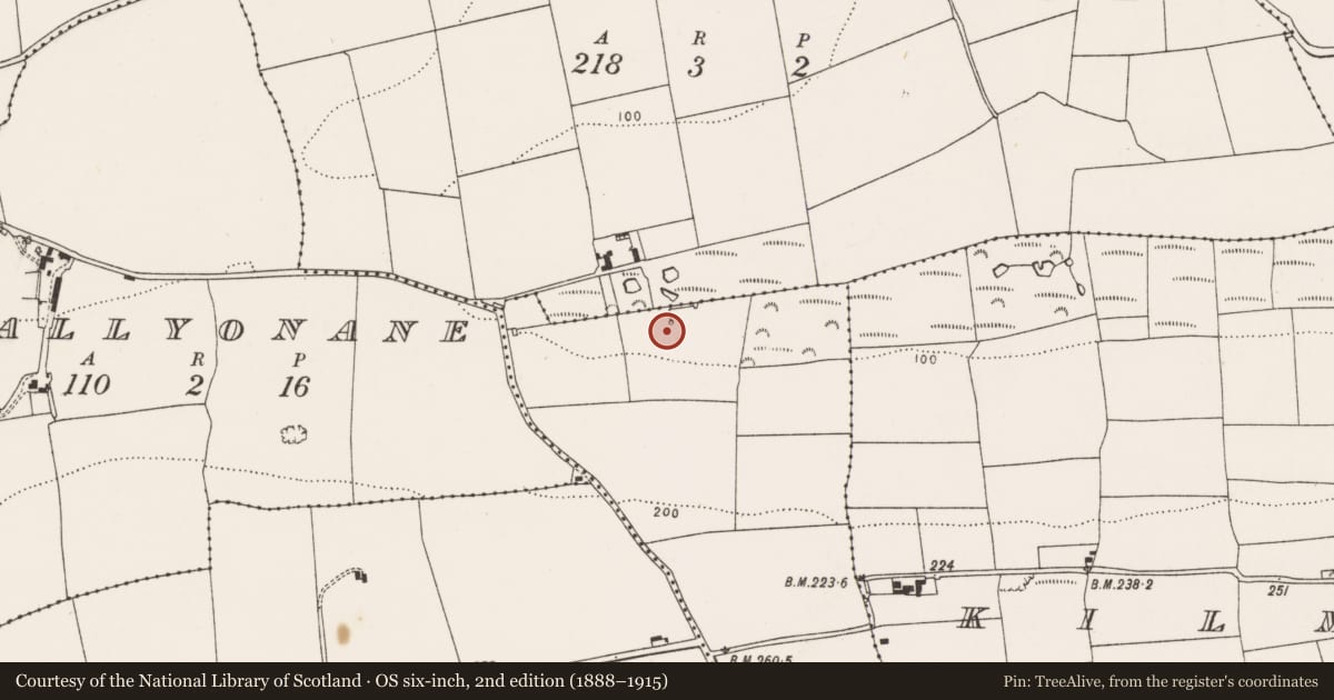 Ordnance Survey six-inch map, 2nd edition (1888–1915) covering the location of Fulacht fia, Kilbarraree, County Cork, with a pin at the register's coordinates