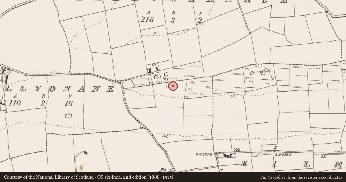 Ordnance Survey six-inch map, 2nd edition (1888–1915) covering the location of Fulacht fia, Kilbarraree, County Cork, with a pin at the register's coordinates