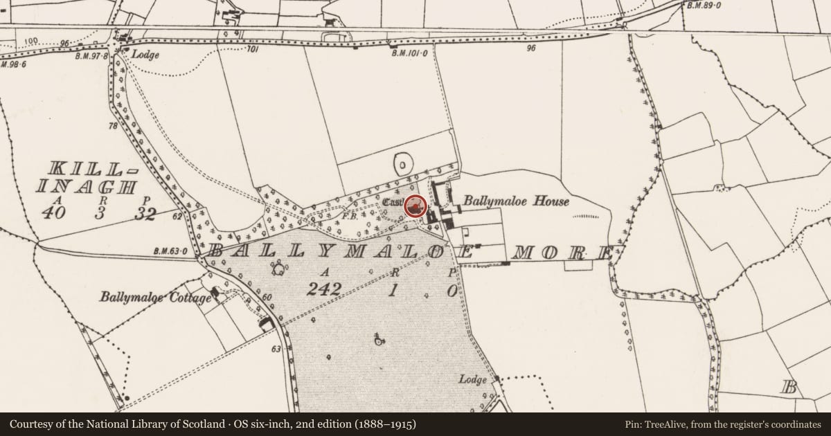 Ordnance Survey six-inch map, 2nd edition (1888–1915) covering the location of Country house, Ballymaloe More, County Cork, with a pin at the register's coordinates