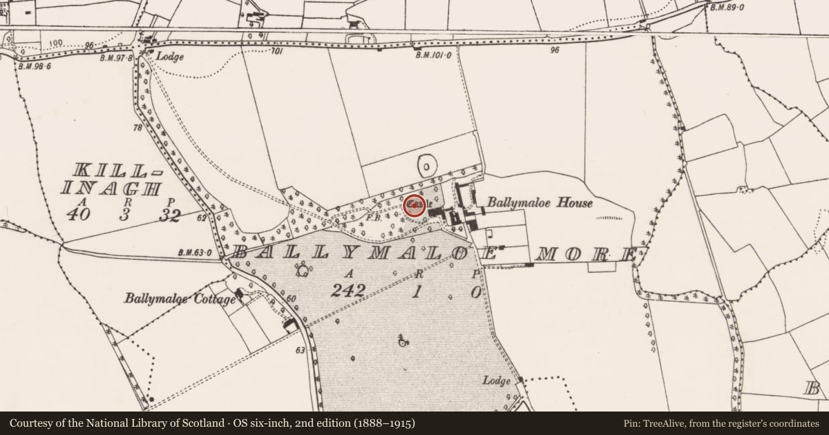 Ordnance Survey six-inch map, 2nd edition (1888–1915) covering the location of Bawn, Ballymaloe More, County Cork, with a pin at the register's coordinates