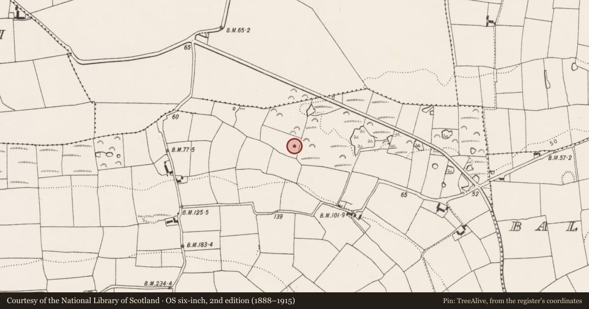 Ordnance Survey six-inch map, 2nd edition (1888–1915) covering the location of Fulacht fia, Kilmacahill, County Cork, with a pin at the register's coordinates